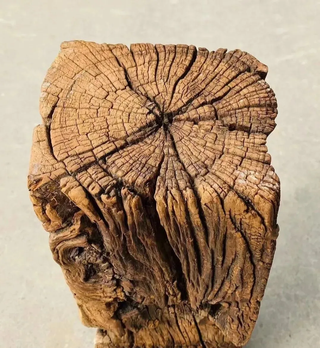 古玩市场见到神秘老物件——风化木与雷击枣木!