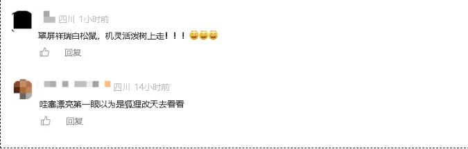 审批通过!投资9.31亿元!市场增量需求巨大,宜宾又一重大项目来了→