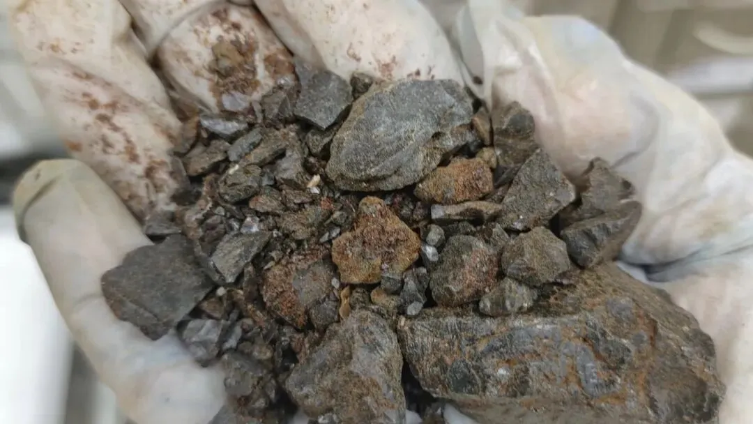 四月中药材市场惊现＂断货王＂!芦荟价格暴涨44%,商家急寻货源!