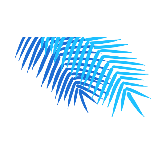 Lidl拟进军西班牙电信市场 低价套餐或加剧行业竞争