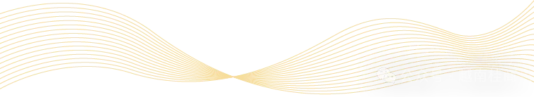 【商会动态】深化经贸合作 共拓东盟市场——山东省雪野啤酒有限公司代表团到访我会座谈交流