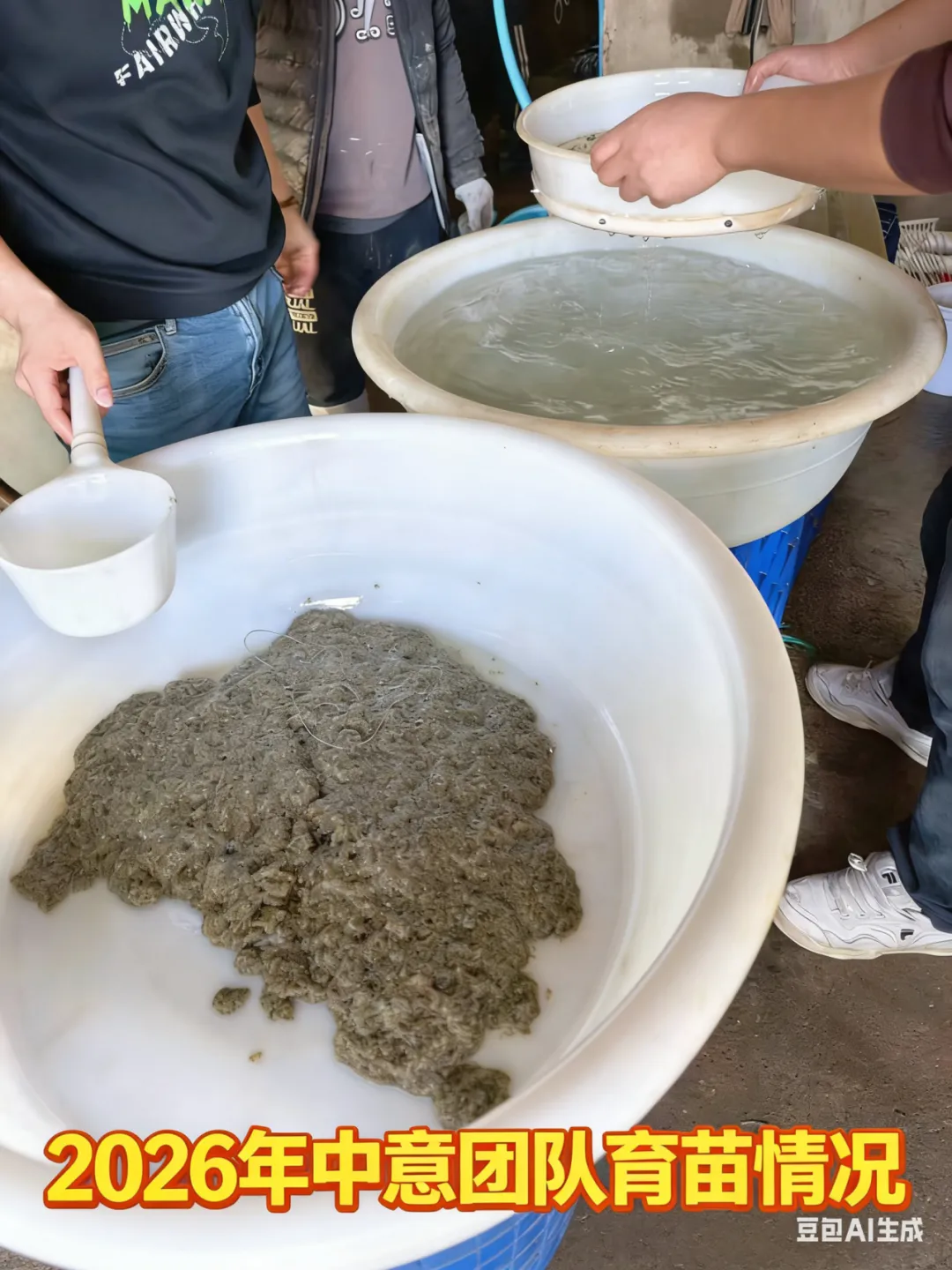 苗价卵价双双暴涨,整个海参市场欣欣向荣——4月中旬行情全景扫描