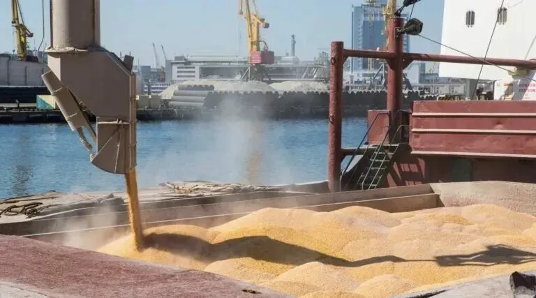 现货看现实 期货看预期 当前国内玉米市场“期强现弱”的成因分析