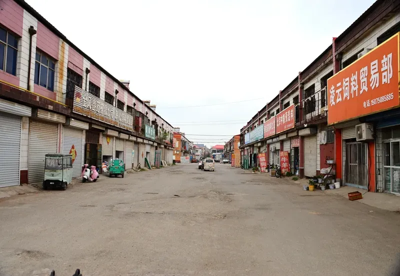 金凤市场:让我最后再看你一眼!!!