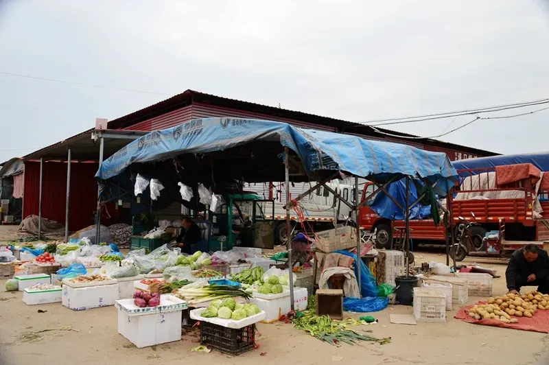 金凤市场:让我最后再看你一眼!!!