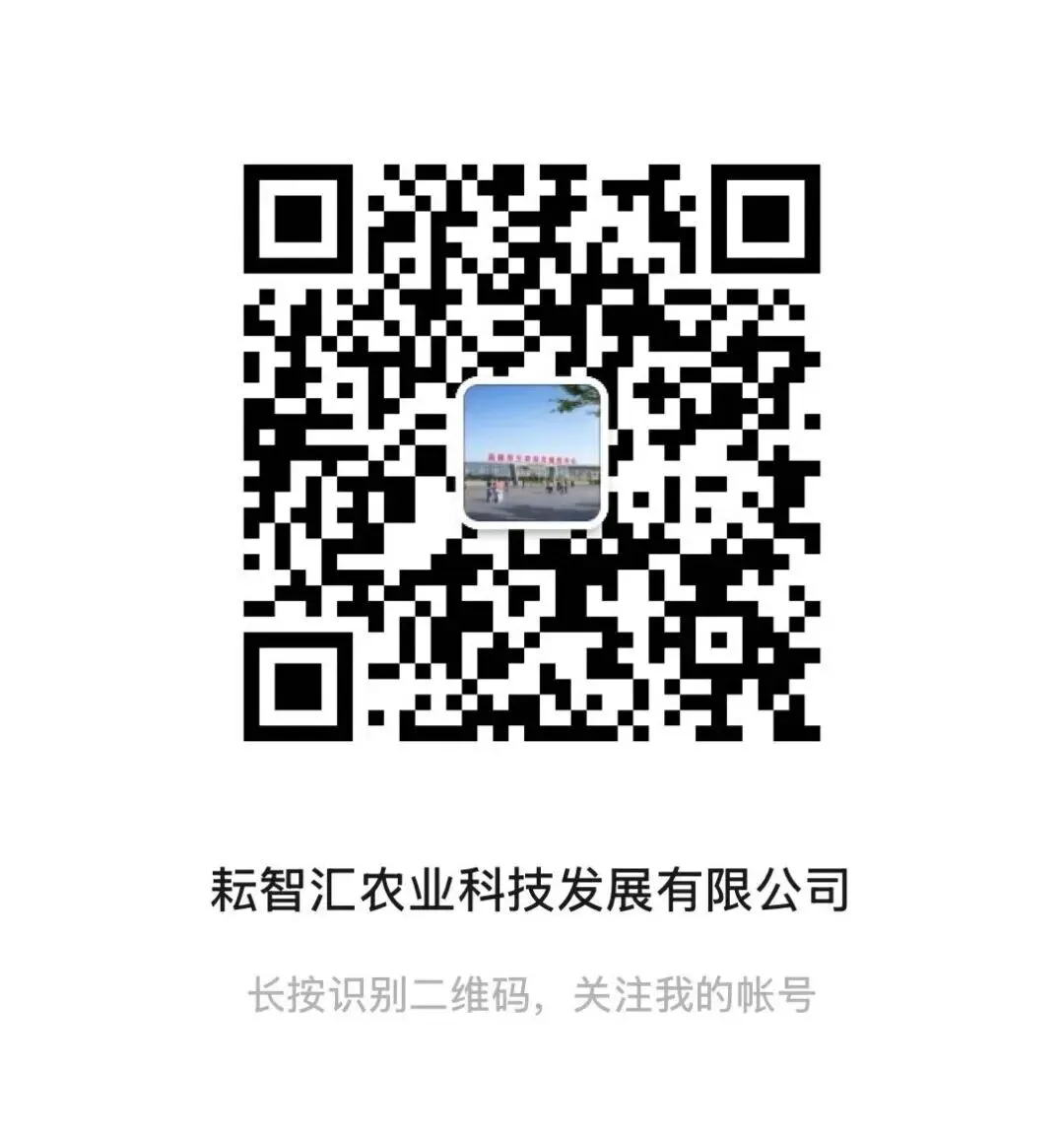 卸甲镇领导莅临苏中农机大市场调研 项目收尾与展位布展稳步推进