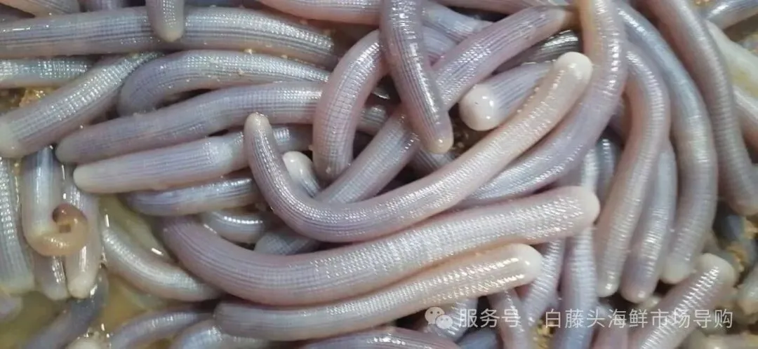 珠海隐藏吃法丨珠海白藤头市场挖宝!沙虫鲜到咬舌的秘密