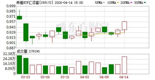 博莱早报|养殖行情领涨市场,宋江题诗传颂九江