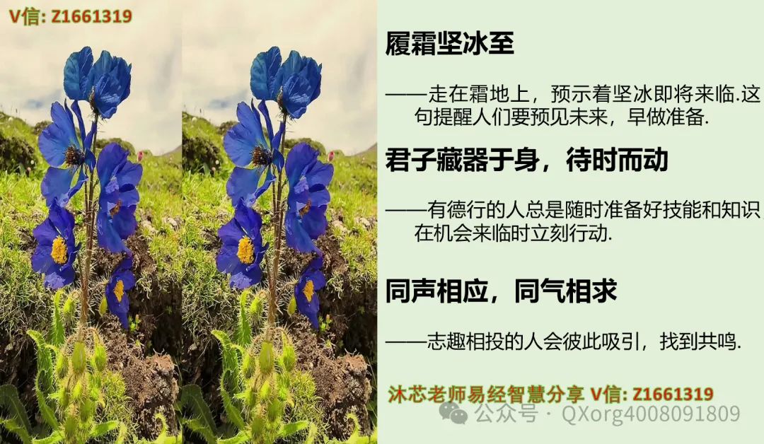 赋能组织进化:营销高管与培训经理的协同增长方法论