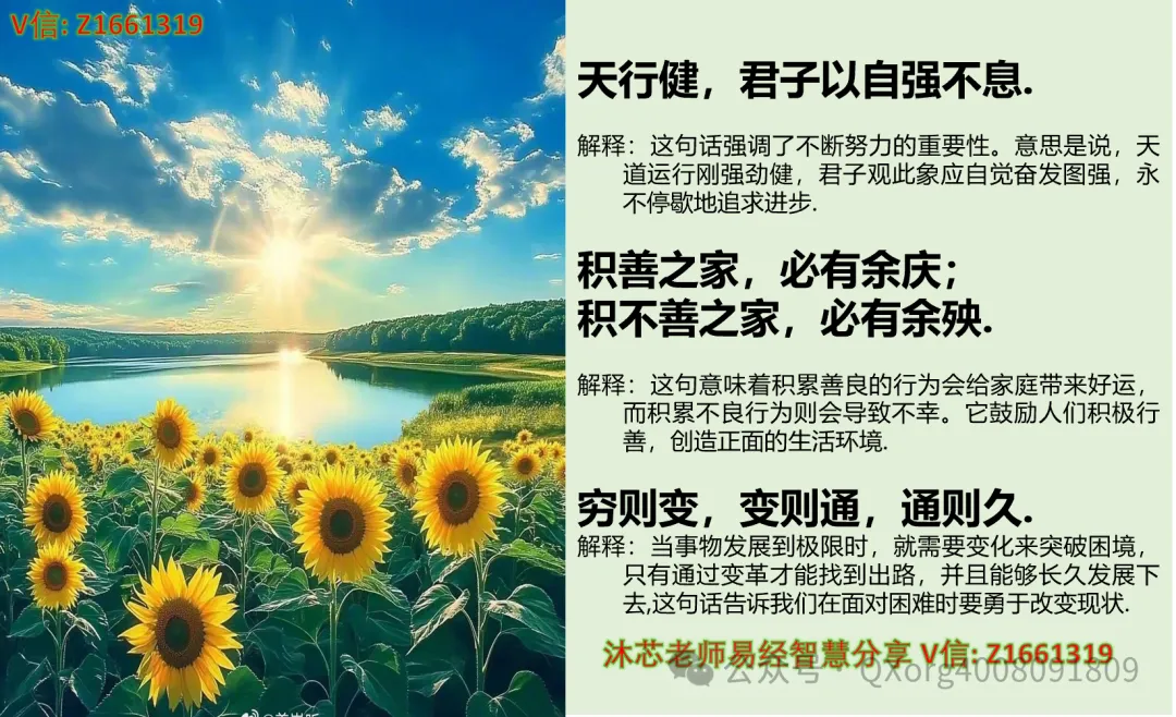 赋能组织进化:营销高管与培训经理的协同增长方法论