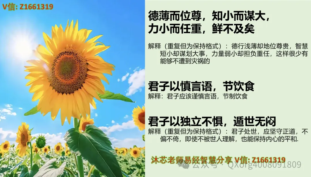 赋能组织进化:营销高管与培训经理的协同增长方法论