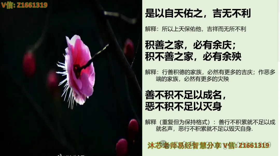 赋能组织进化:营销高管与培训经理的协同增长方法论