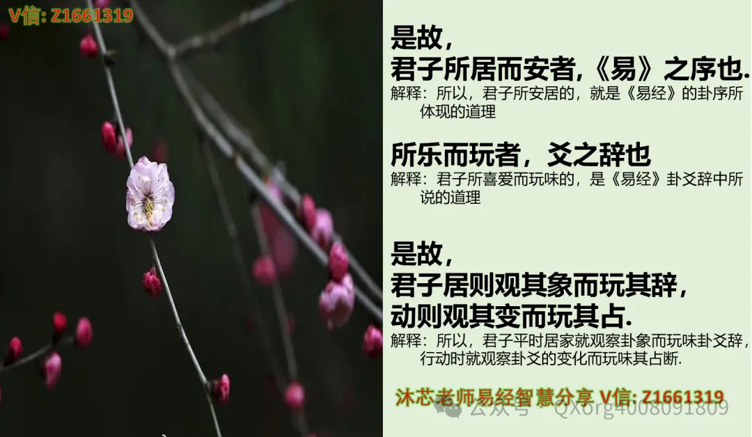 赋能组织进化:营销高管与培训经理的协同增长方法论