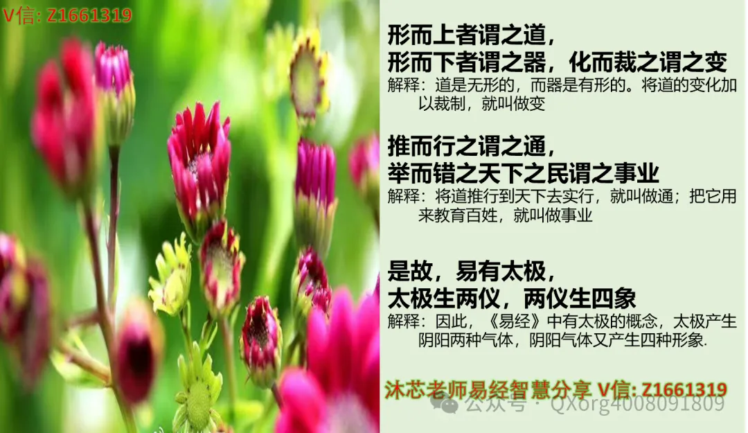 赋能组织进化:营销高管与培训经理的协同增长方法论