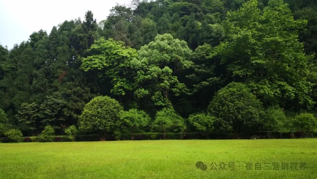 一线销售压货绝招:从“乞求”到“拯救”