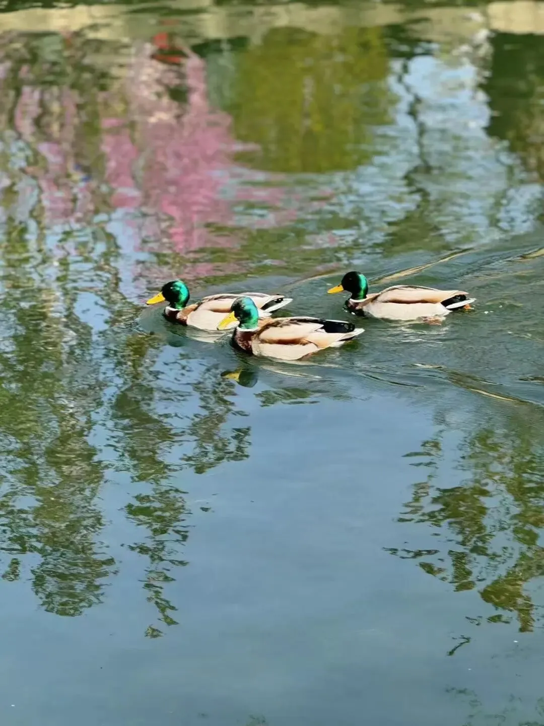 二级市场土地获取与争议解决