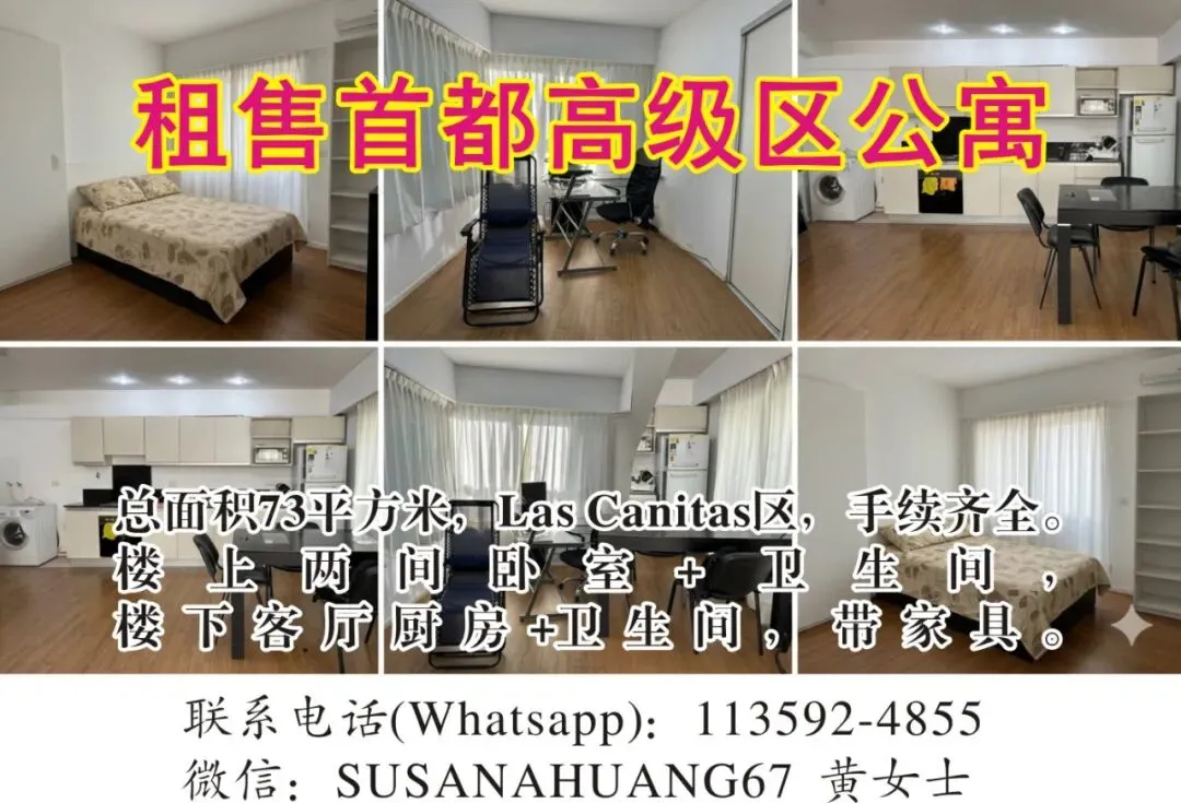 阿根廷新政激活汽车市场 中国品牌领跑插电混动赛道