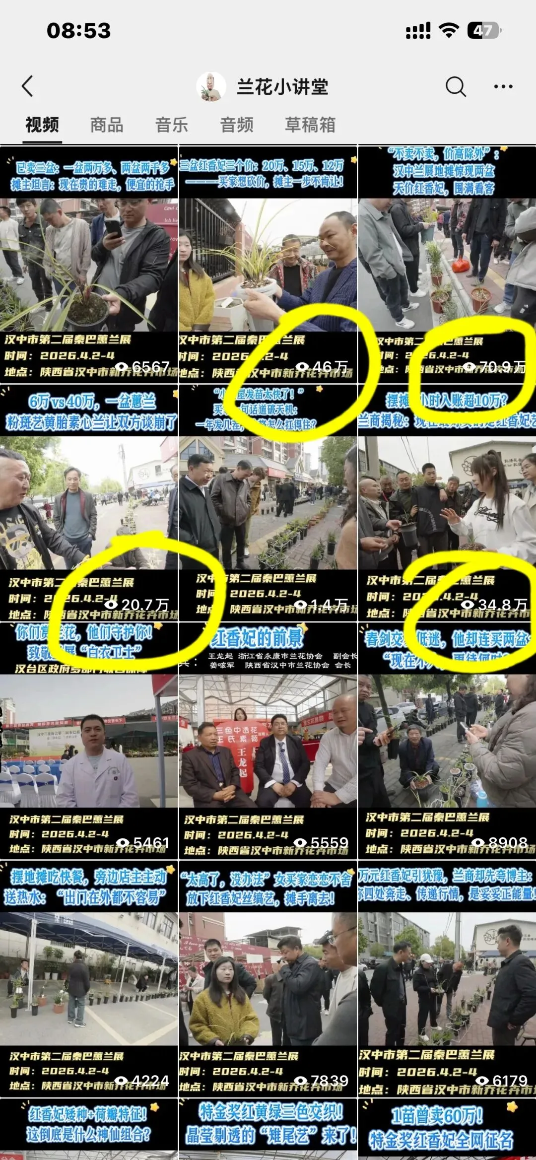 秦巴蕙兰风云录:一个短视频作者的市场观察手记