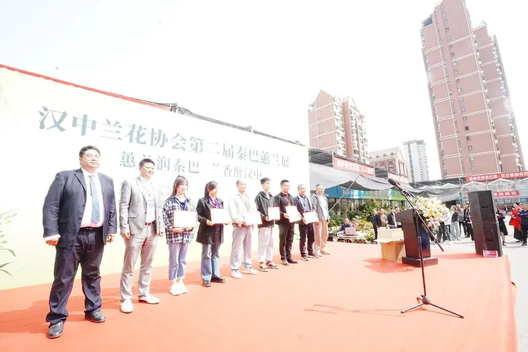 秦巴蕙兰风云录:一个短视频作者的市场观察手记