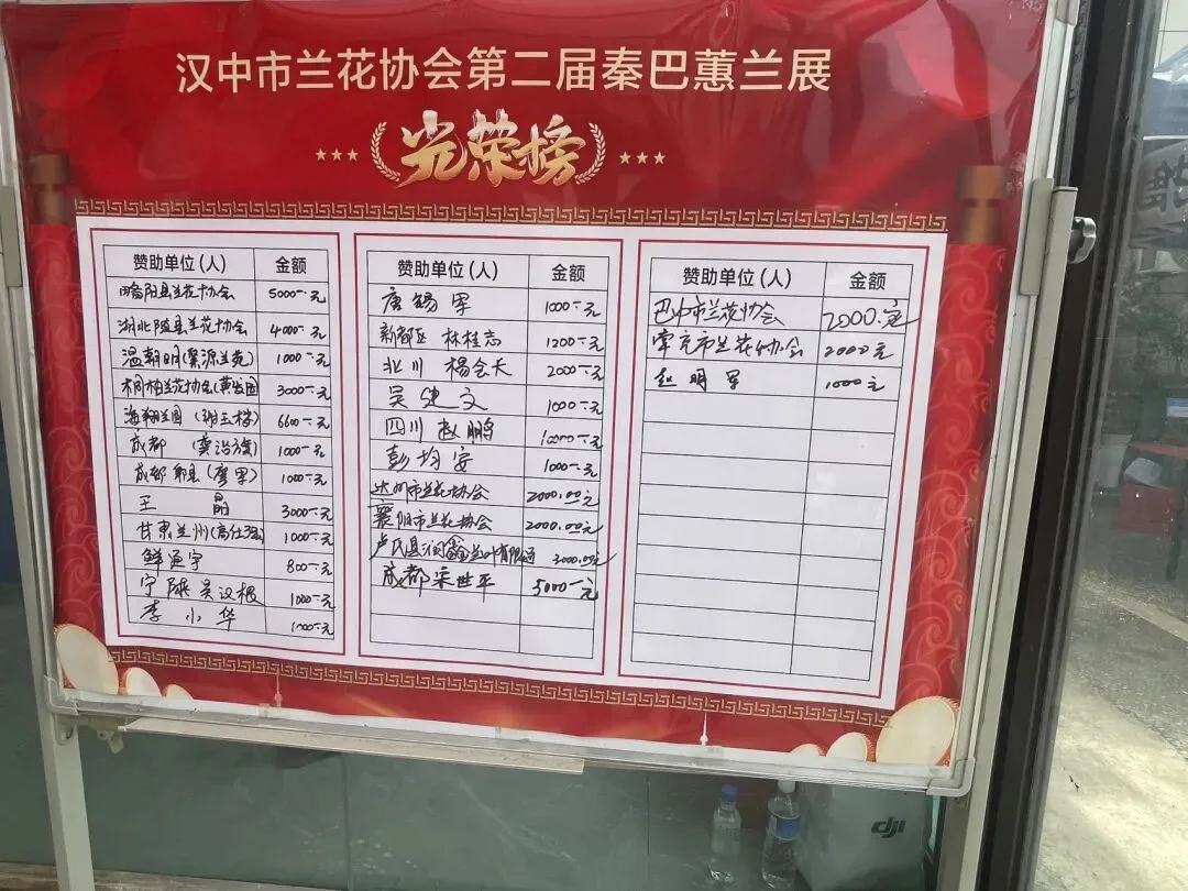 秦巴蕙兰风云录:一个短视频作者的市场观察手记