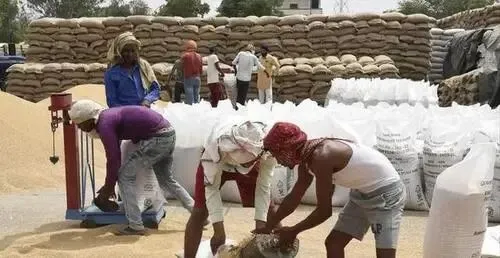 250万吨尿素招标无人应标:印度在国际市场的信誉崩塌实录