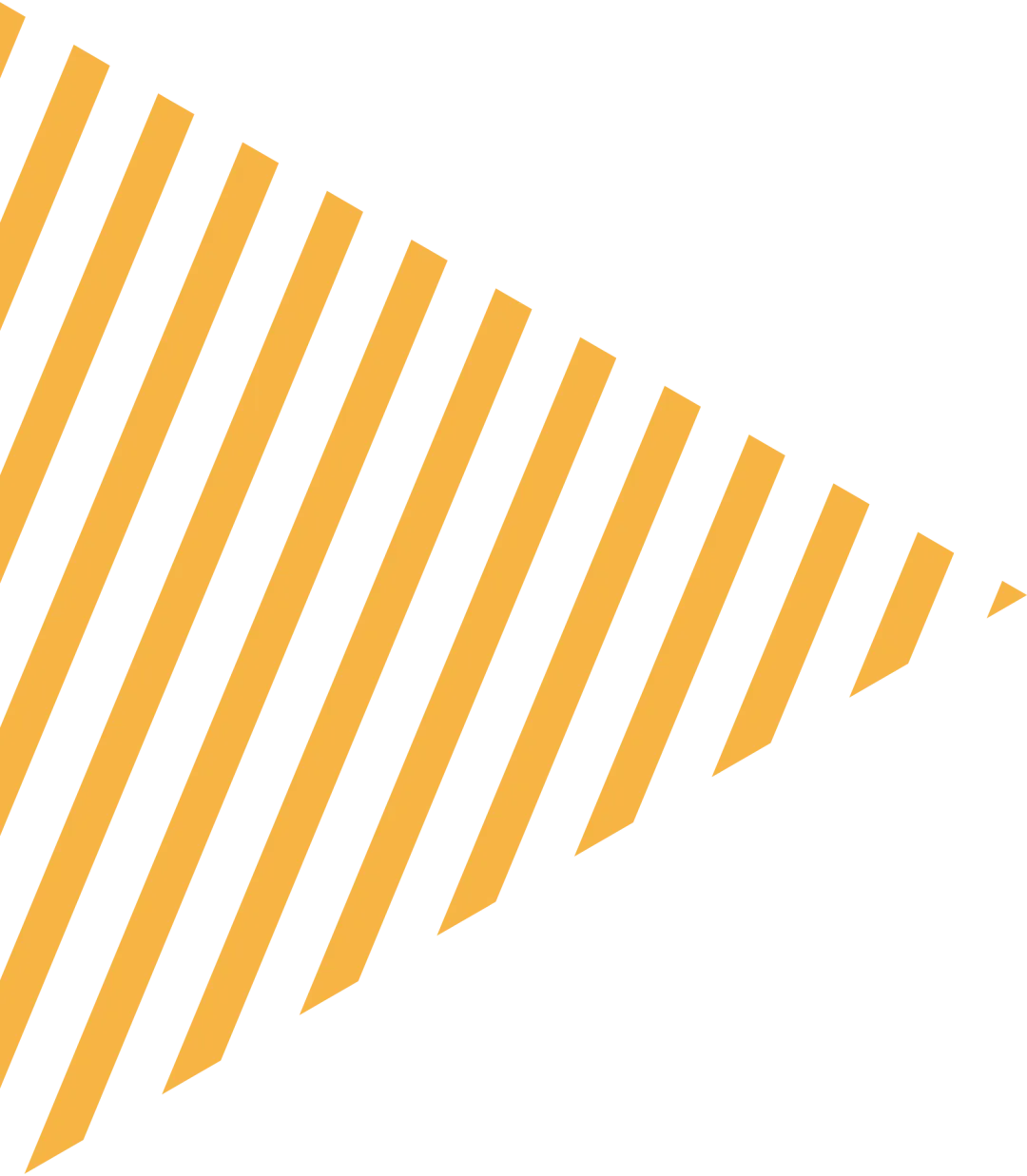 2025暑期陈麻花市场电商社会实践(第一期)