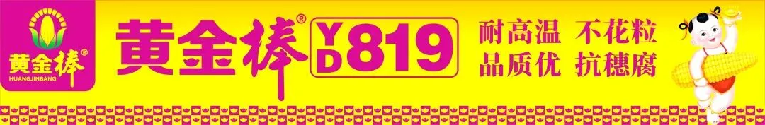 原料持续涨价支撑 4 月磷肥复合肥市场高位上行