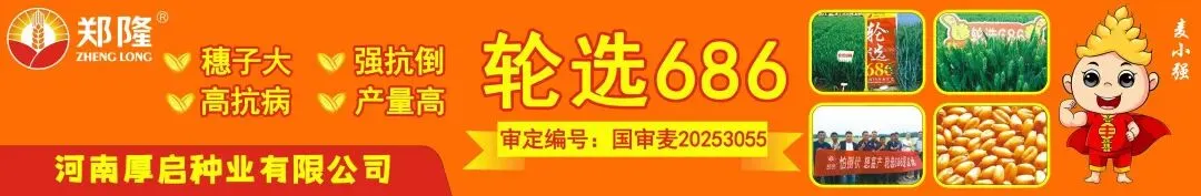 原料持续涨价支撑 4 月磷肥复合肥市场高位上行