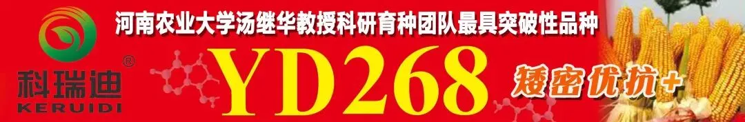 原料持续涨价支撑 4 月磷肥复合肥市场高位上行