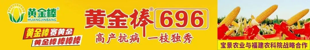 原料持续涨价支撑 4 月磷肥复合肥市场高位上行