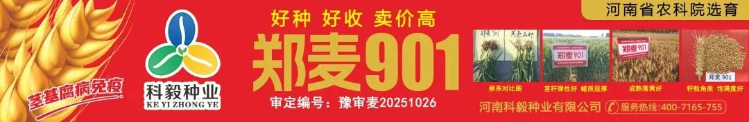 原料持续涨价支撑 4 月磷肥复合肥市场高位上行