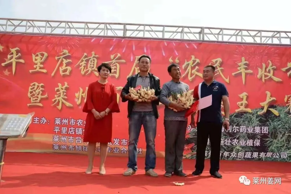 4月15日莱州吕村大姜市场