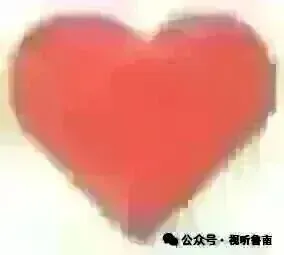 枣庄市市中区专业市场建设专题会议召开