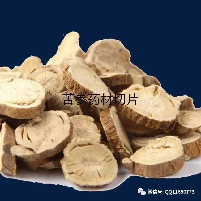 苦参市场怎么样 喜碱性土 半旱田作物 市场需求大