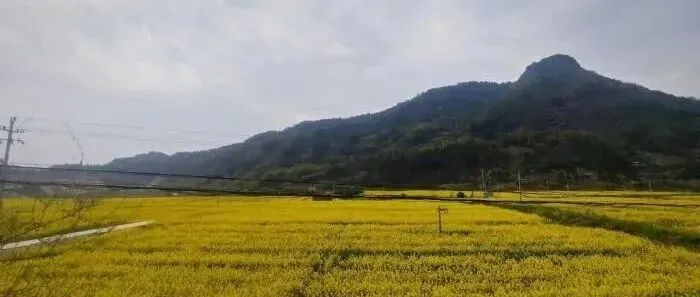 浙江专业市场一季度交易额同比增长6.57%