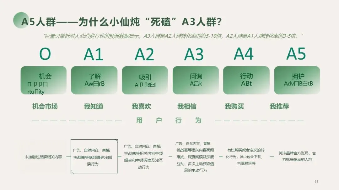2025营养大健康行业燕窝品牌营销种草方案