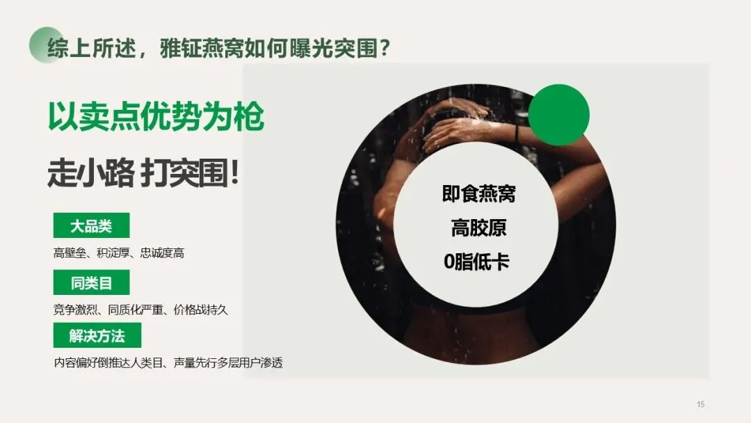 2025营养大健康行业燕窝品牌营销种草方案