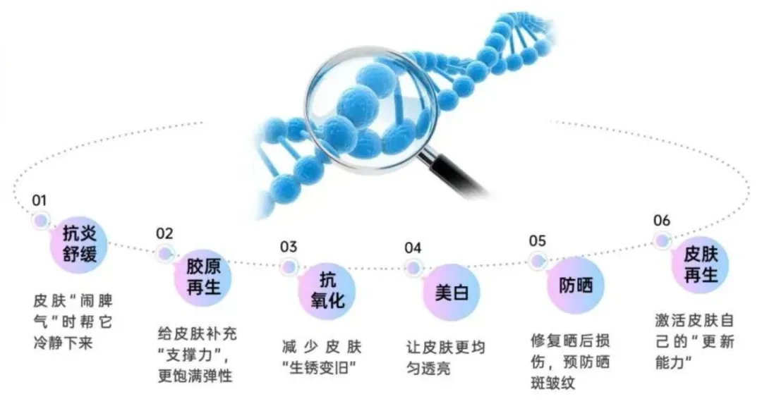 PDRN市场持续走红!YK双菌PDRN荣获中国发明专利!
