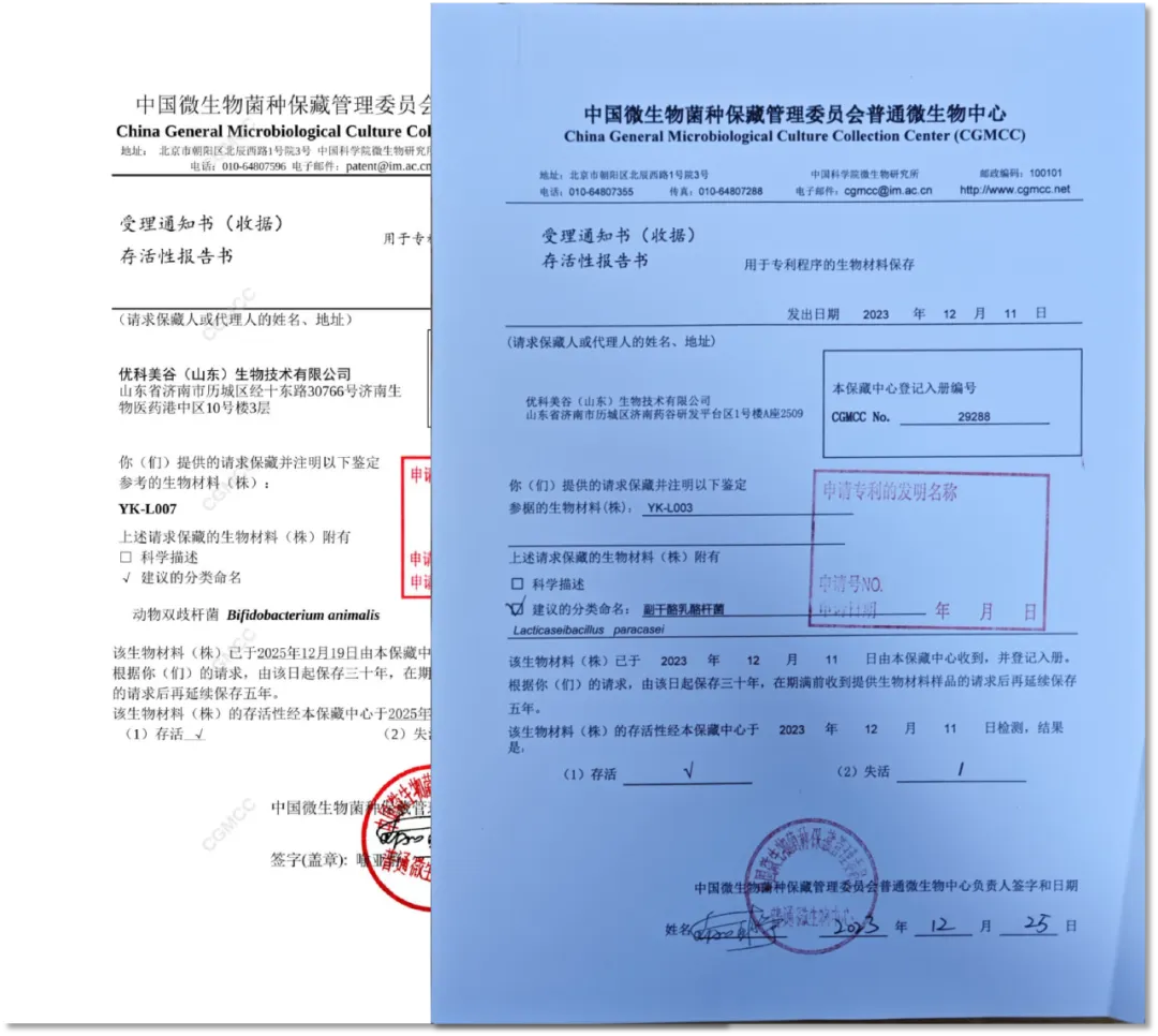 PDRN市场持续走红!YK双菌PDRN荣获中国发明专利!