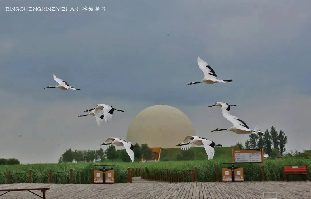 天津自驾旅游市场重磅推出《哈尔滨、北极穿越东极》12日自驾游,一路贯两极,逆时针巡礼祖国边疆.