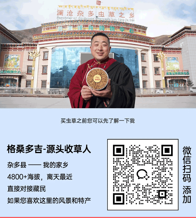 崩了!虫草市场暴雷了!!