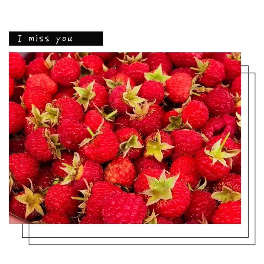 天津自驾旅游市场重磅推出《哈尔滨、北极穿越东极》12日自驾游,一路贯两极,逆时针巡礼祖国边疆.