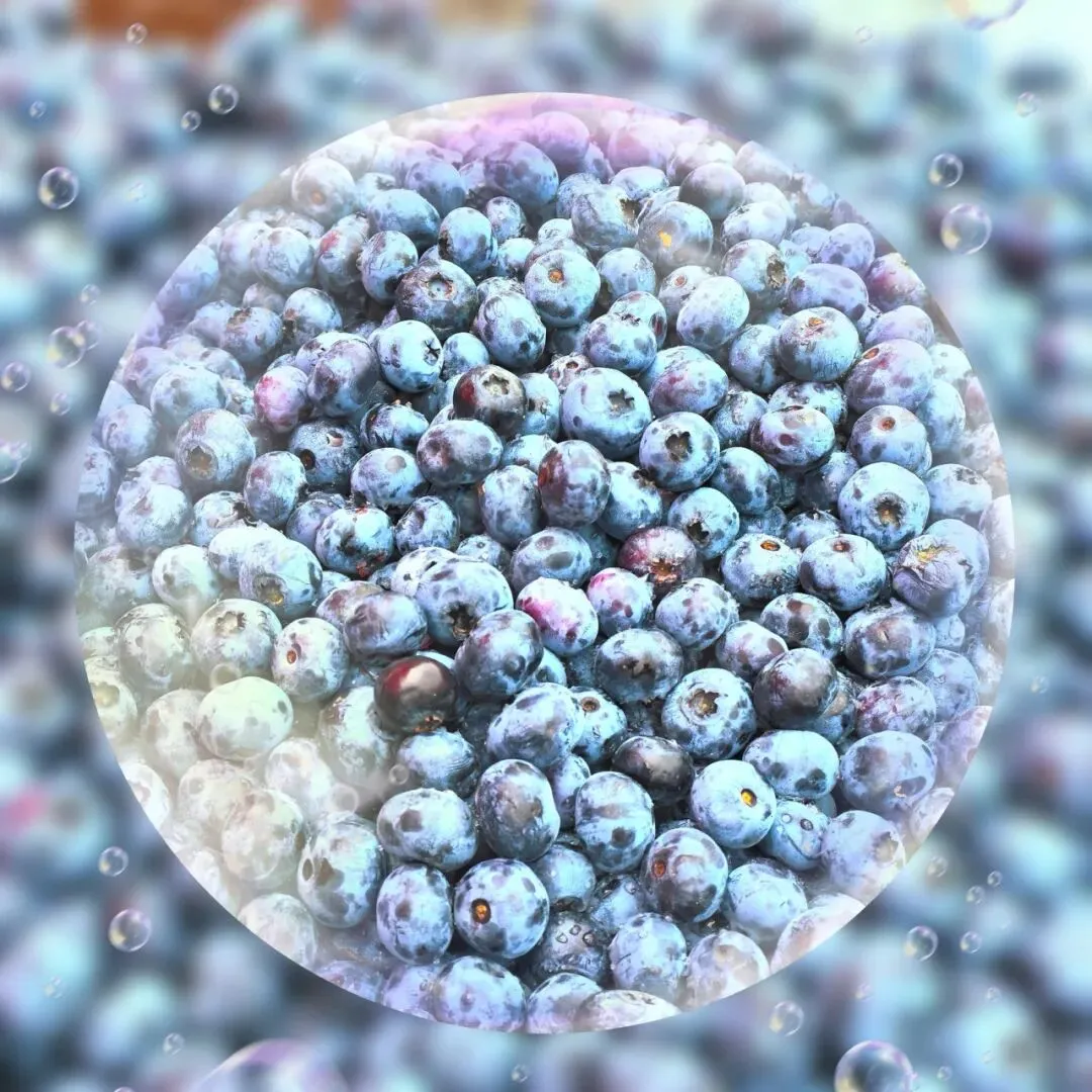 天津自驾旅游市场重磅推出《哈尔滨、北极穿越东极》12日自驾游,一路贯两极,逆时针巡礼祖国边疆.