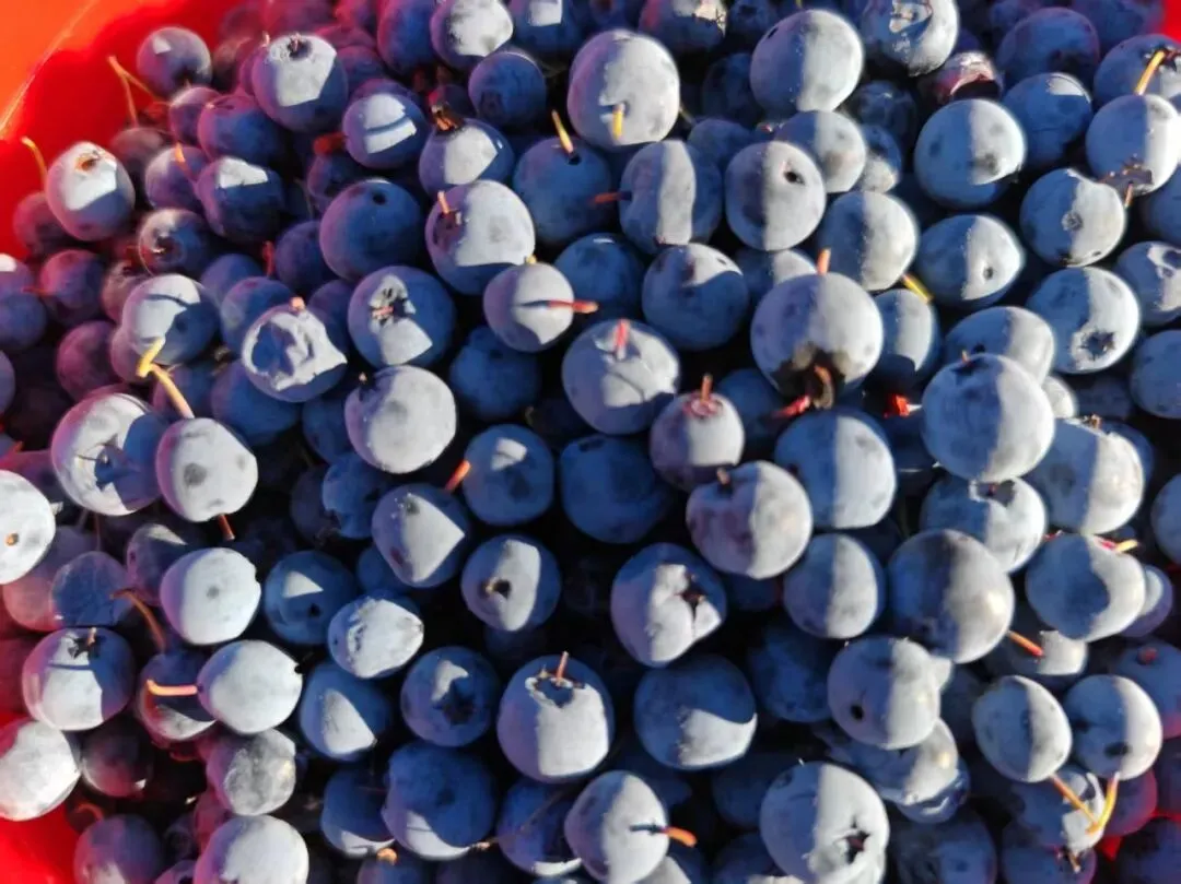 天津自驾旅游市场重磅推出《哈尔滨、北极穿越东极》12日自驾游,一路贯两极,逆时针巡礼祖国边疆.