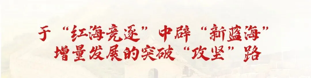 “113”攻坚行动丨搏击市场浪潮 深耕价值提升(二)