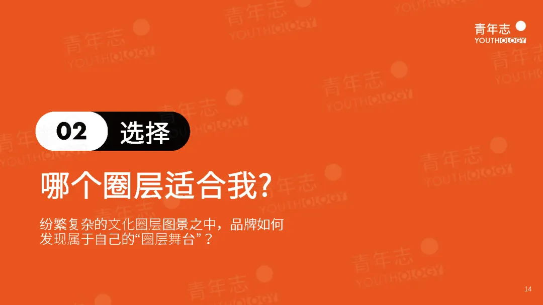 圈层营销PLAYBOOK:读懂圈层,结交年轻人(可下载)