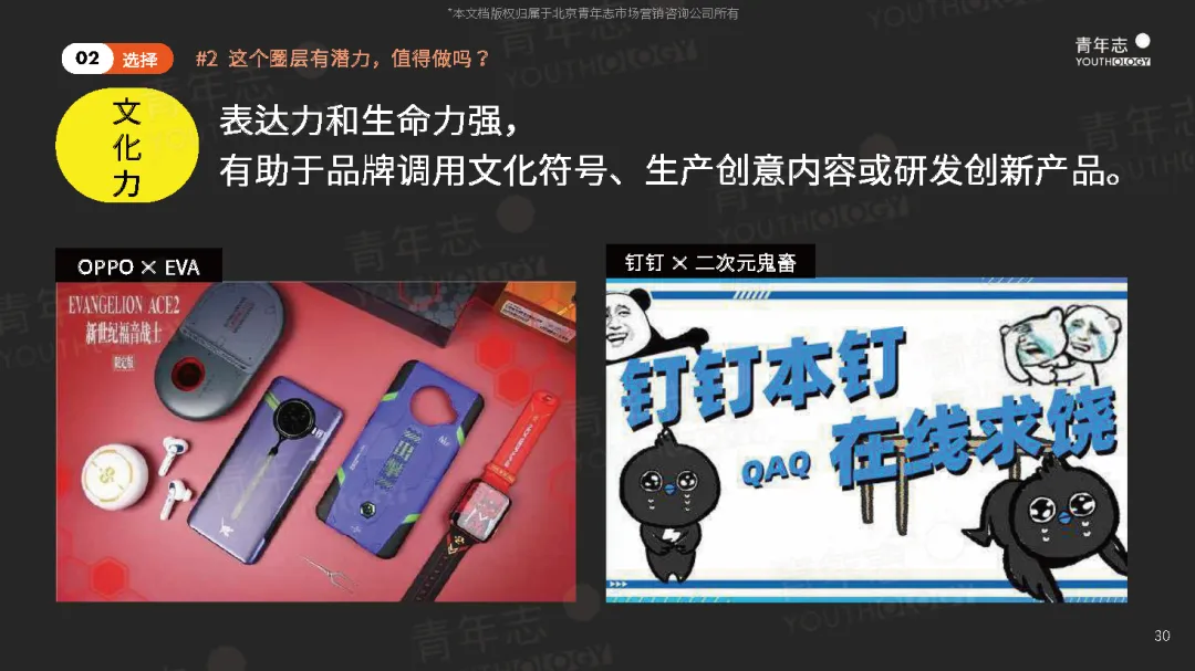 圈层营销PLAYBOOK:读懂圈层,结交年轻人(可下载)