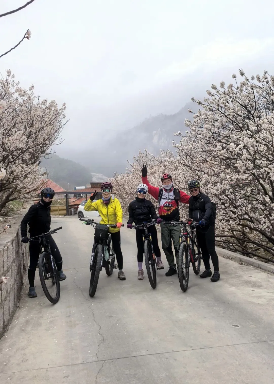 营销|“宠物+骑行”:青岛用细分产品撬动韩国入境游