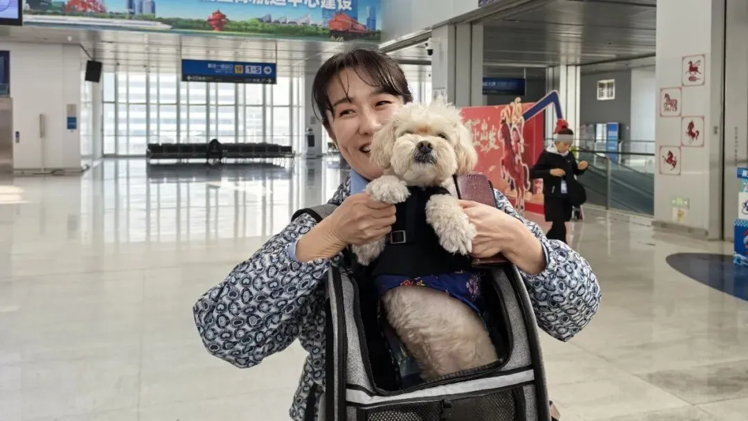 营销|“宠物+骑行”:青岛用细分产品撬动韩国入境游