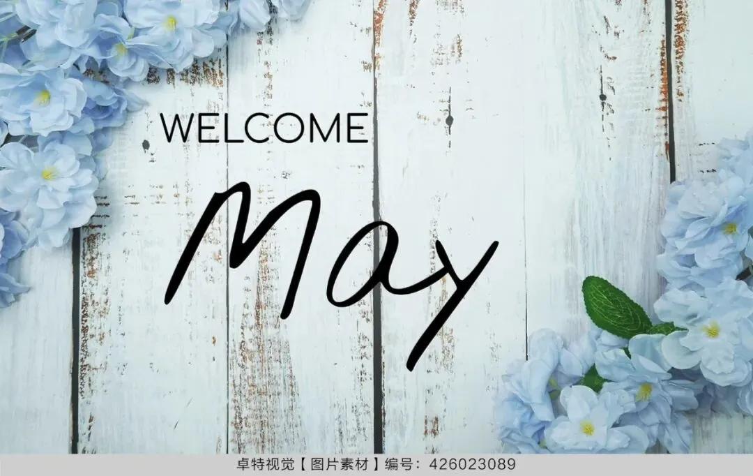 5月营销创意灵感看这里 | 卓特视觉精选图片素材
